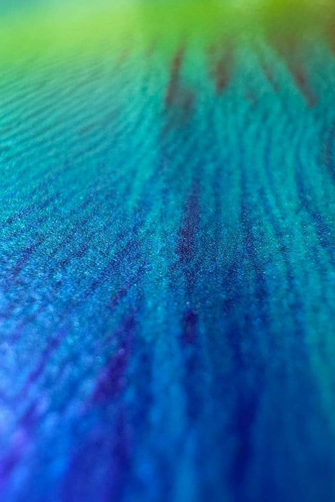 Tectonic Drift III: Momentum