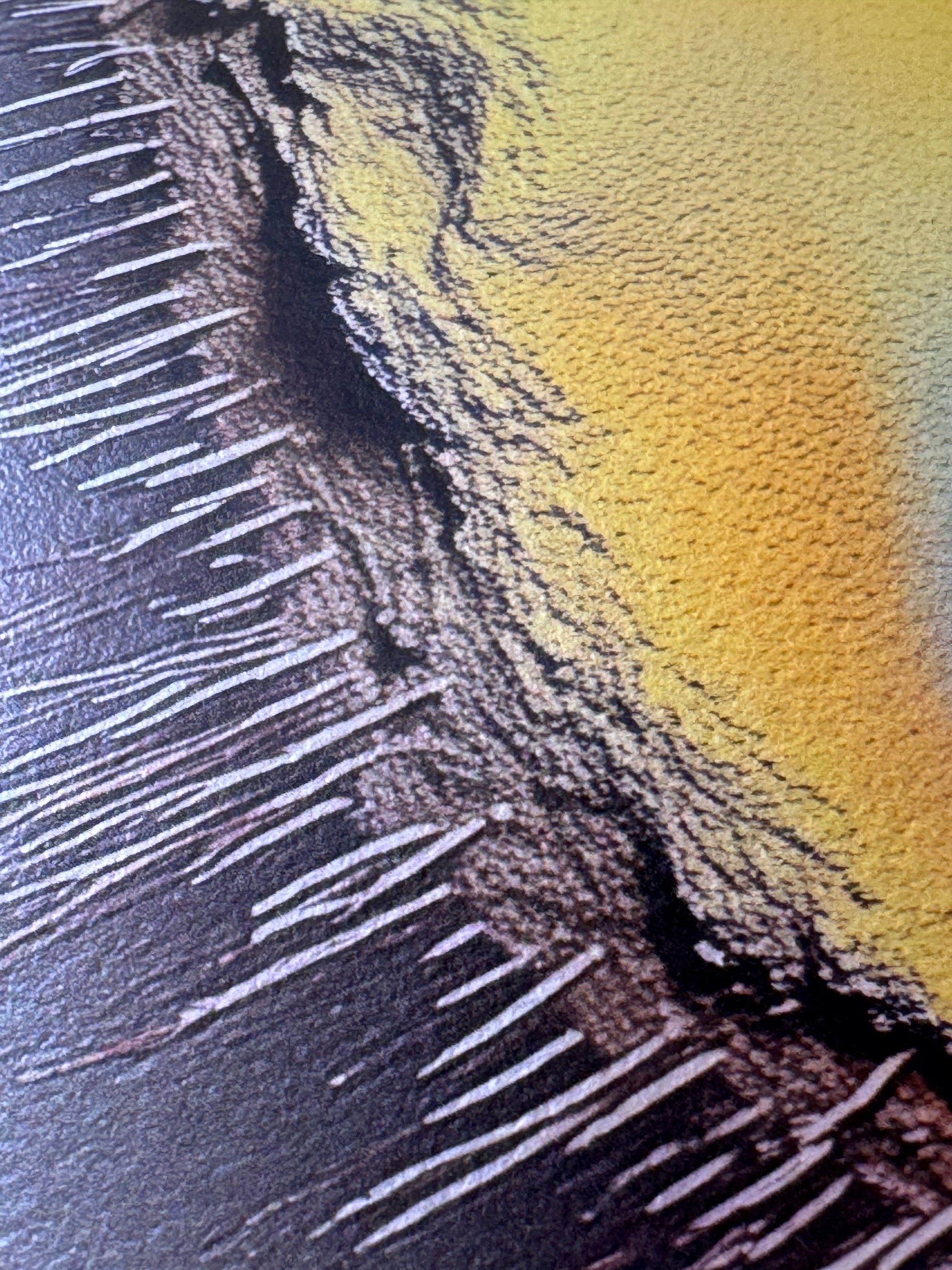 IMPACT 0016, extreme close-up of the disc's ragged rim showing fine dark thread-like fringe over textured paper, next to a solid yellow field beyond the torn edge.