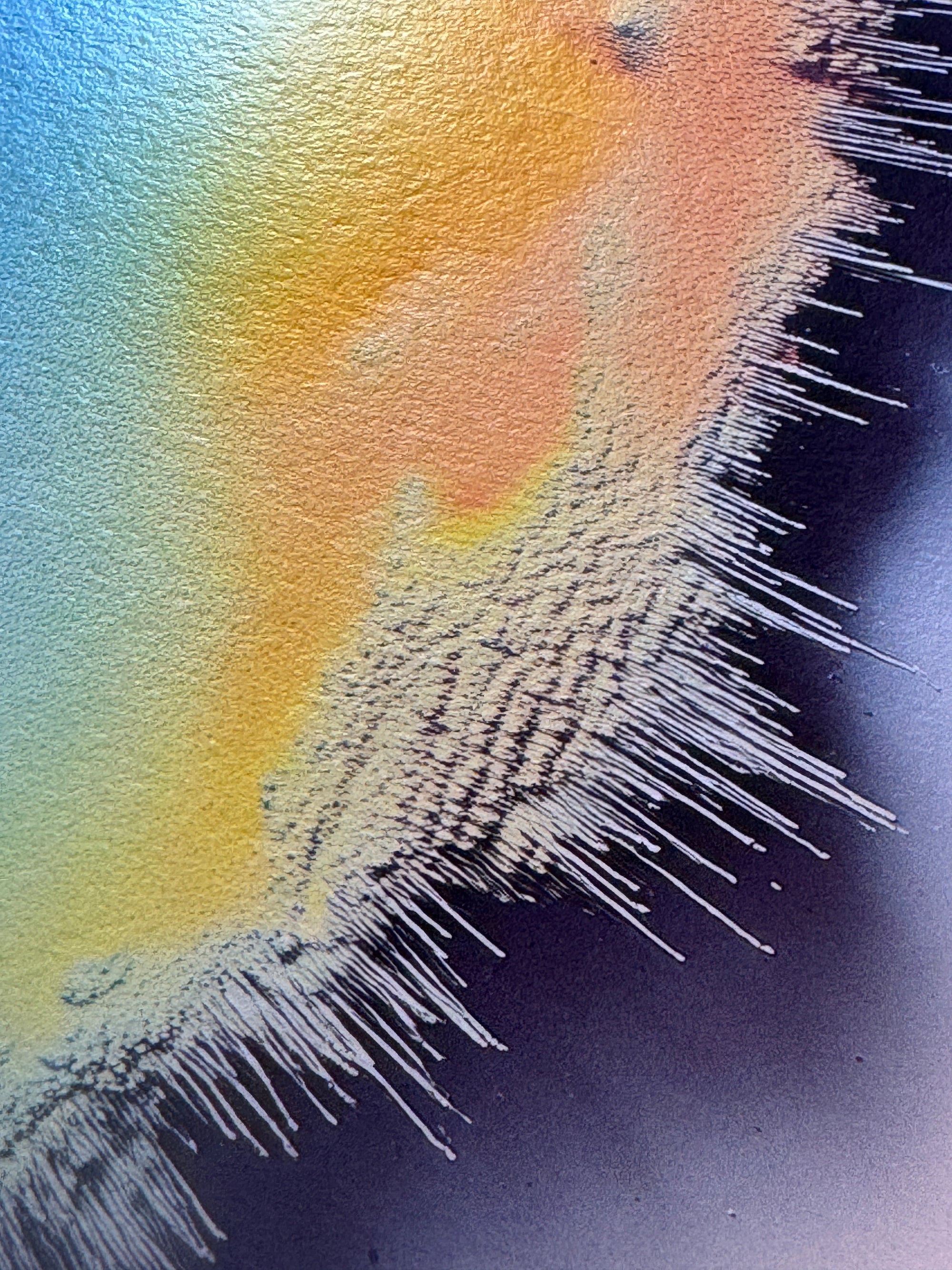 IMPACT 0018, close-up of the ragged fringe where a blue-green field meets yellow-orange and pink, the torn edge showing a fine black-and-white woven texture with drip marks trailing down.